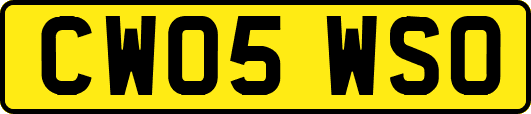 CW05WSO