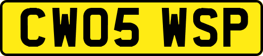 CW05WSP