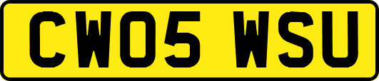 CW05WSU