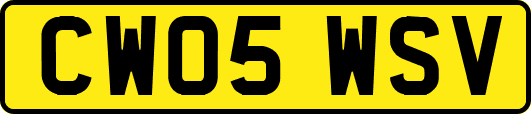 CW05WSV