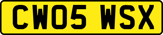CW05WSX