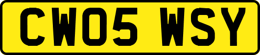 CW05WSY