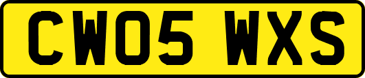 CW05WXS