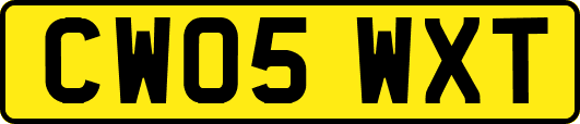 CW05WXT