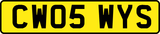 CW05WYS
