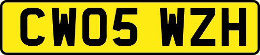 CW05WZH