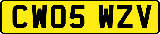 CW05WZV