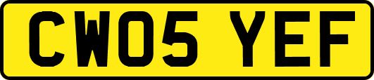 CW05YEF