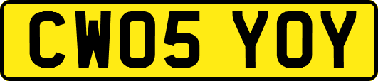 CW05YOY