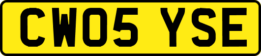 CW05YSE