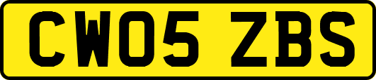 CW05ZBS
