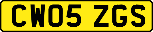 CW05ZGS