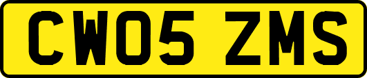 CW05ZMS