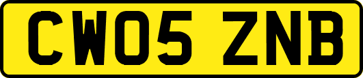 CW05ZNB