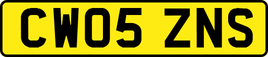 CW05ZNS