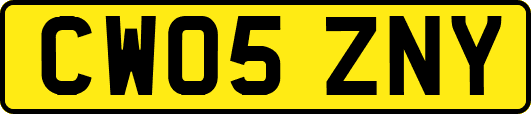 CW05ZNY