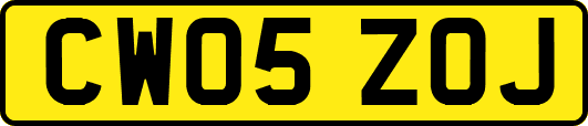 CW05ZOJ