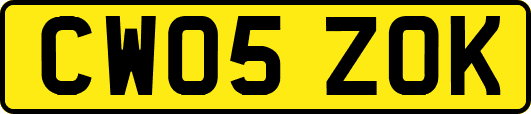 CW05ZOK