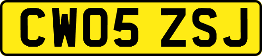 CW05ZSJ