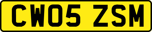 CW05ZSM
