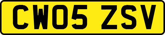 CW05ZSV