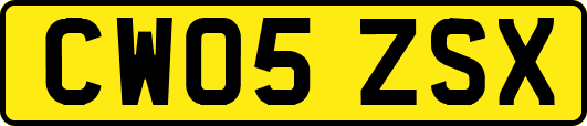 CW05ZSX