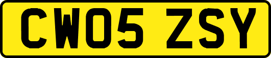 CW05ZSY