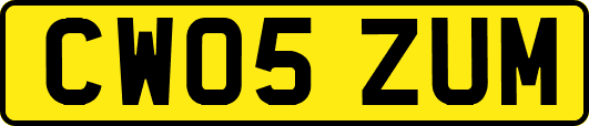 CW05ZUM