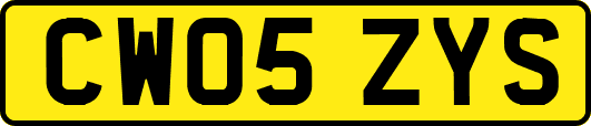 CW05ZYS
