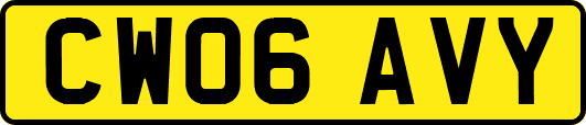 CW06AVY