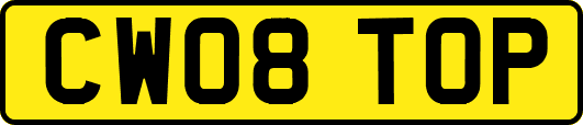 CW08TOP