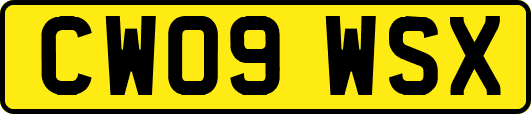 CW09WSX