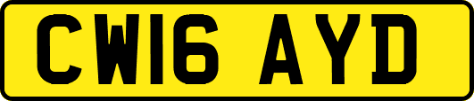 CW16AYD