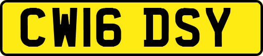 CW16DSY