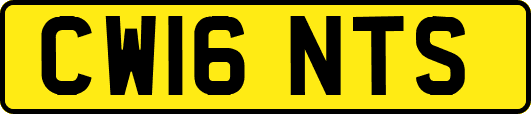 CW16NTS