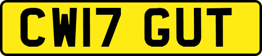 CW17GUT