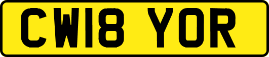 CW18YOR