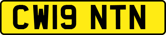 CW19NTN
