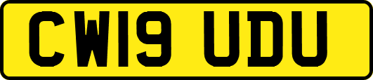 CW19UDU