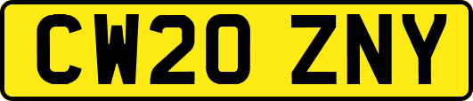 CW20ZNY