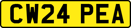 CW24PEA