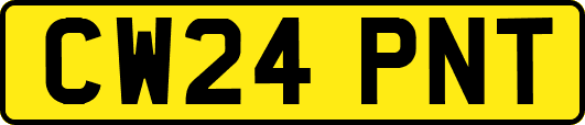 CW24PNT