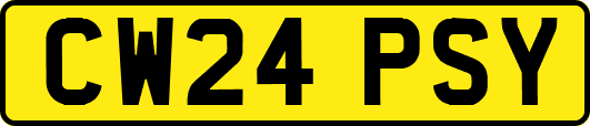 CW24PSY