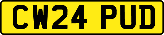 CW24PUD