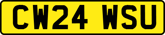 CW24WSU