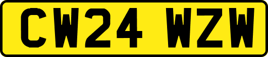 CW24WZW