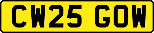 CW25GOW