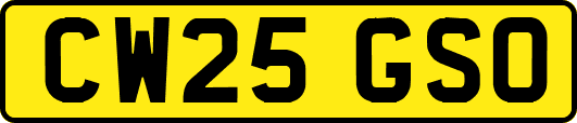 CW25GSO