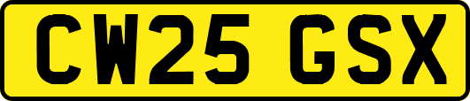 CW25GSX