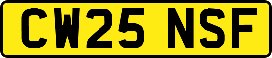 CW25NSF